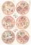   Stamperia - A4   Shabby Rose - 