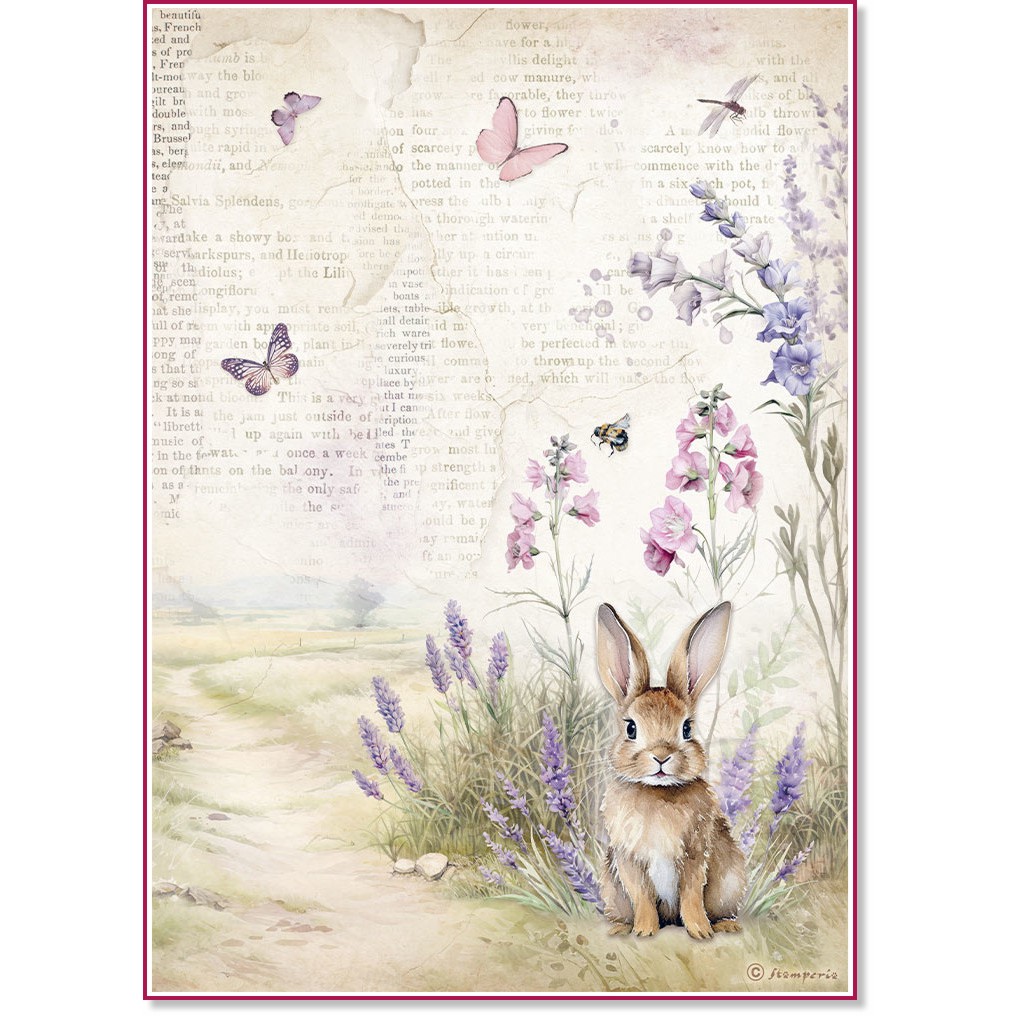   Stamperia -  - A4   Lavender - 