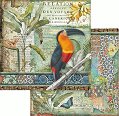 Хартия за скрапбукинг Stamperia - Тукан - 30.5 x 30.5 cm от колекцията Amazonia -