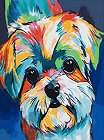    NEWART -  - 40 x 50 cm - 