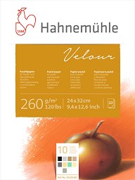       Hahnemuhle - 10 , 24 x 32 cm, 260 g/m<sup>2</sup>   Velour - 